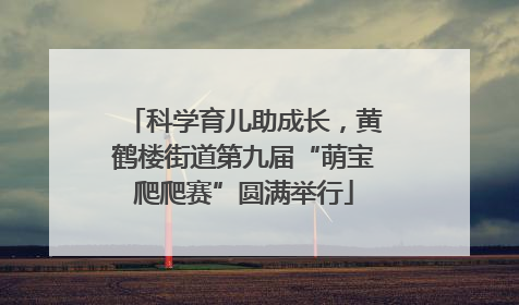 科学育儿助成长，黄鹤楼街道第九届“萌宝爬爬赛”圆满举行