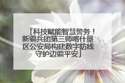 科技赋能智慧警务！新疆兵团第三师喀什垦区公安局构建数字防线守护边疆平安