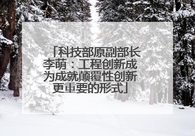科技部原副部长李萌：工程创新成为成就颠覆性创新更重要的形式