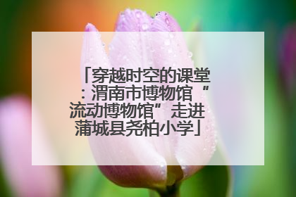 穿越时空的课堂：渭南市博物馆“流动博物馆”走进蒲城县尧柏小学