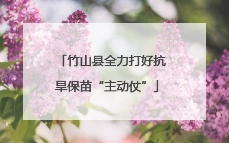 竹山县全力打好抗旱保苗“主动仗”