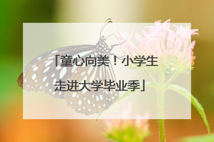 童心向美！小学生走进大学毕业季