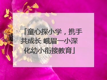 童心探小学，携手共成长 峨眉一小深化幼小衔接教育