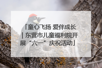 童心飞扬 爱伴成长｜东营市儿童福利院开展“六一”庆祝活动