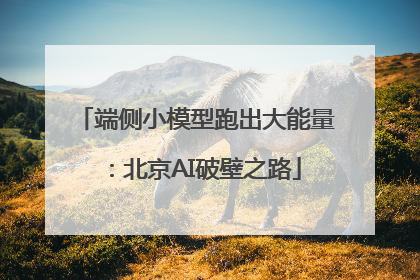 端侧小模型跑出大能量：北京AI破壁之路