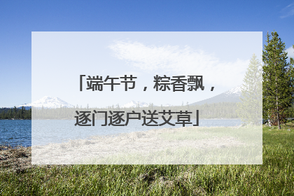 端午节，粽香飘，逐门逐户送艾草