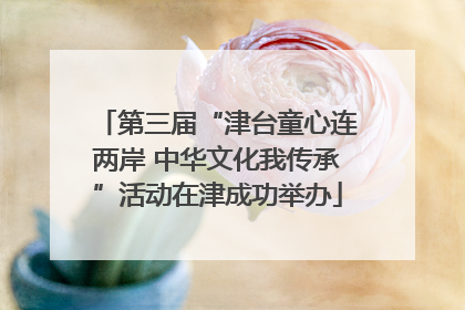 第三届“津台童心连两岸 中华文化我传承”活动在津成功举办