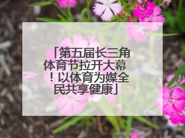 第五届长三角体育节拉开大幕！以体育为媒全民共享健康