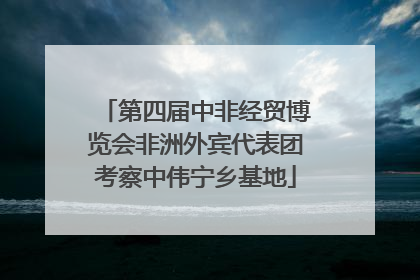 第四届中非经贸博览会非洲外宾代表团考察中伟宁乡基地