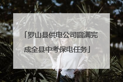 罗山县供电公司圆满完成全县中考保电任务