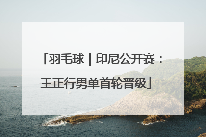 羽毛球｜印尼公开赛：王正行男单首轮晋级