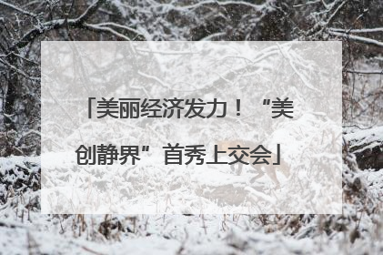 美丽经济发力！“美创静界”首秀上交会