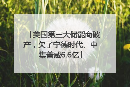 美国第三大储能商破产，欠了宁德时代、中集普威6.6亿