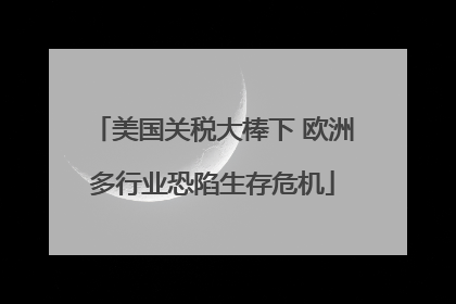 美国关税大棒下 欧洲多行业恐陷生存危机