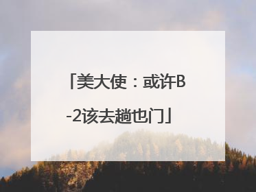 美大使：或许B-2该去趟也门