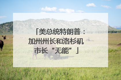 美总统特朗普：加州州长和洛杉矶市长“无能”