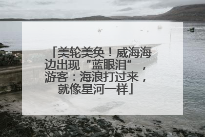 美轮美奂！威海海边出现“蓝眼泪”，游客：海浪打过来，就像星河一样