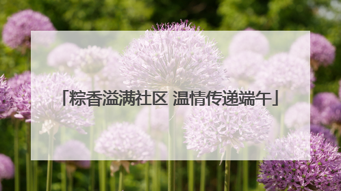 粽香溢满社区 温情传递端午