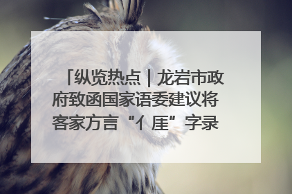 纵览热点｜龙岩市政府致函国家语委建议将客家方言“亻厓”字录入《新华字典》引发热议，当地回应