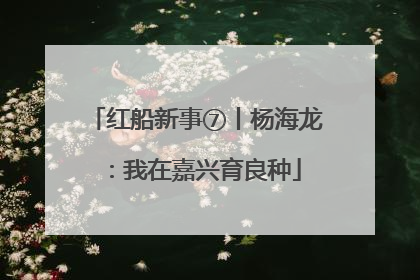 红船新事⑦丨杨海龙：我在嘉兴育良种