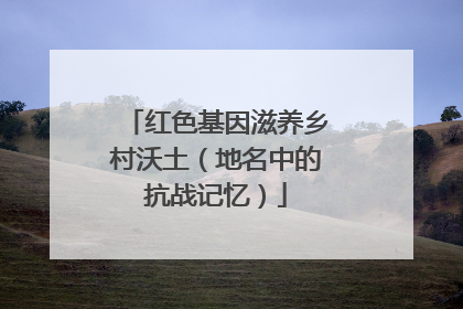 红色基因滋养乡村沃土（地名中的抗战记忆）