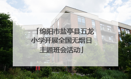 绵阳市盐亭县五龙小学开展全国无烟日主题班会活动
