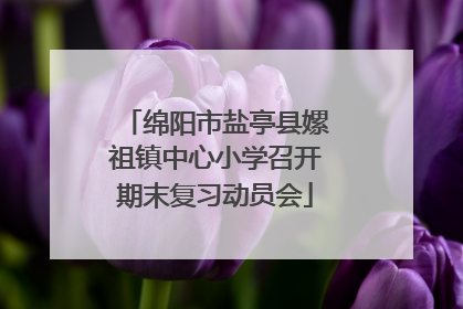绵阳市盐亭县嫘祖镇中心小学召开期末复习动员会