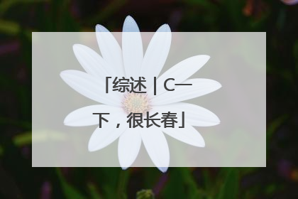 综述｜C一下，很长春