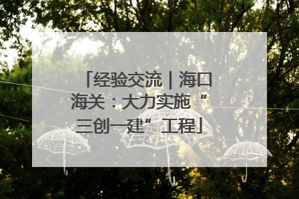 经验交流｜海口海关：大力实施“三创一建”工程