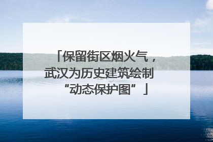 保留街区烟火气，武汉为历史建筑绘制“动态保护图”