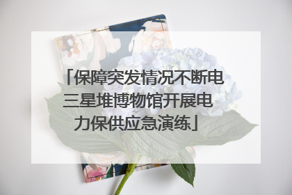 保障突发情况不断电 三星堆博物馆开展电力保供应急演练