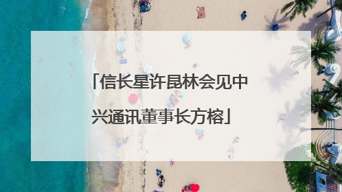 信长星许昆林会见中兴通讯董事长方榕