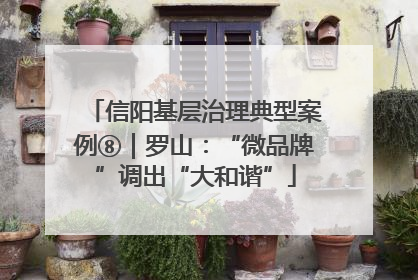 信阳基层治理典型案例⑧｜罗山：“微品牌”调出“大和谐”