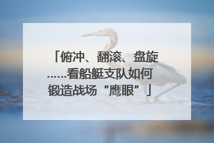 俯冲、翻滚、盘旋……看船艇支队如何锻造战场“鹰眼”