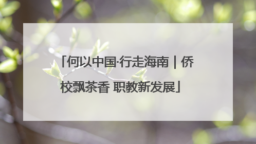 何以中国·行走海南｜侨校飘茶香 职教新发展