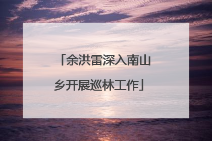 余洪雷深入南山乡开展巡林工作