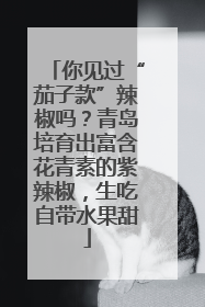 你见过“茄子款”辣椒吗？青岛培育出富含花青素的紫辣椒，生吃自带水果甜