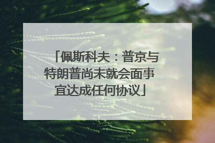 佩斯科夫：普京与特朗普尚未就会面事宜达成任何协议