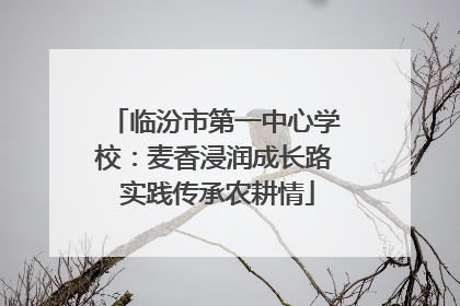 临汾市第一中心学校：麦香浸润成长路 实践传承农耕情