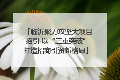 临沂聚力攻坚大项目招引 以“三重突破”打造招商引资新格局