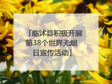 临沭县积极开展第38个世界无烟日宣传活动