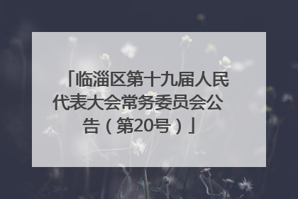 临淄区第十九届人民代表大会常务委员会公告（第20号）