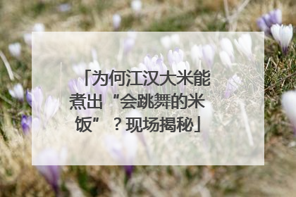 为何江汉大米能煮出“会跳舞的米饭”？现场揭秘