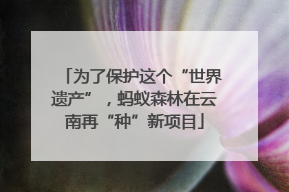 为了保护这个“世界遗产”，蚂蚁森林在云南再“种”新项目