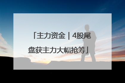 主力资金｜4股尾盘获主力大幅抢筹