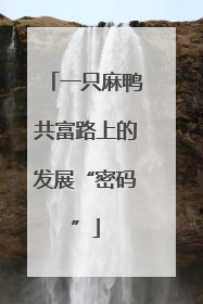 一只麻鸭共富路上的发展“密码”
