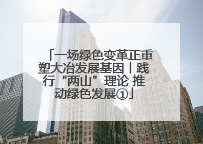 一场绿色变革正重塑大冶发展基因丨践行“两山”理论 推动绿色发展①