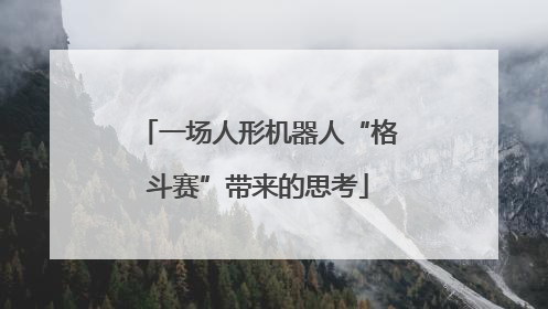 一场人形机器人“格斗赛”带来的思考