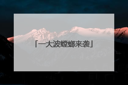 一大波螳螂来袭