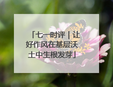 七一时评｜让好作风在基层沃土中生根发芽